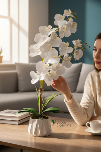 Seramik Saksıda 2 Dal Beyaz Islak Orkide