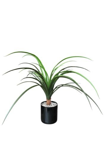 TAŞ KAPLI SİYAH RENKLİ SAKSIDA 55 CM YAPAY YUKA AĞACI