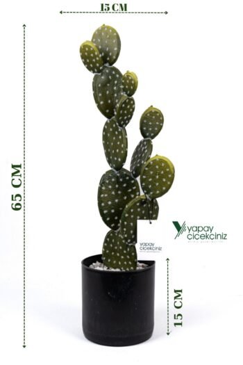 Taş Kaplı Siyah Saksısında Yapay Texas Kaktüs