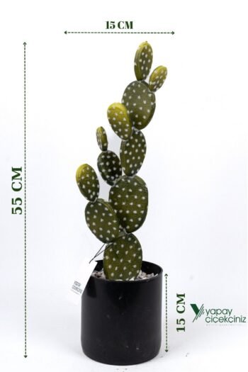 Taş Kaplı Siyah Saksısında Yapay Texas Kaktüs